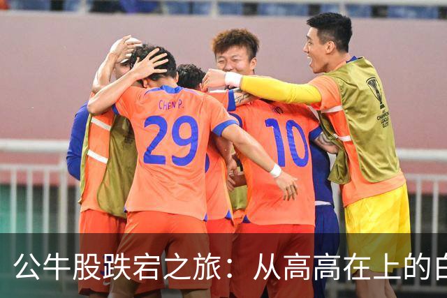 公牛股跌宕之旅：从高高在上的白马到低调的牛爸